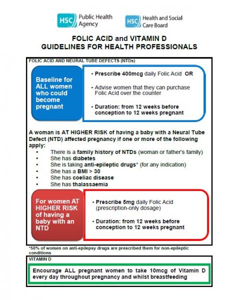 Folic Acid And Vitamin D Guidelines For Health Professionals 