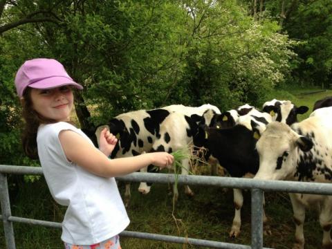 Remember to 'wash your hands after visiting the farm'