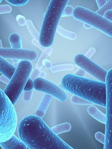 The report of the Outbreak Control Team of the investigation of an outbreak of listeriosis in the Belfast Health and Social Care Trust during May to November 2008