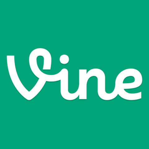 Vine vid tips to get park kit fit