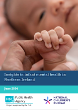 Cover of Insights in infant mental health in Northern Ireland